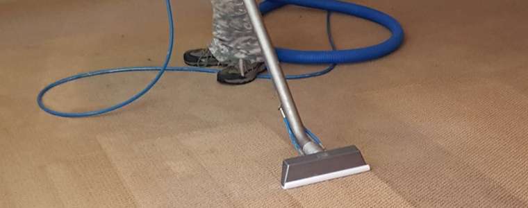 professional carpet cleaner cleaning carpet