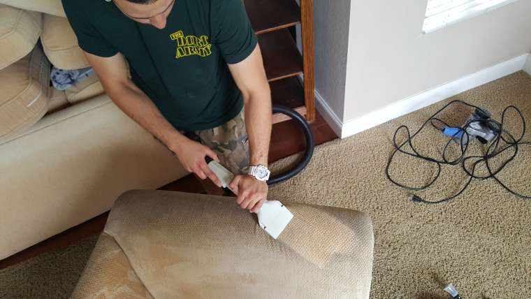 professional upholstery cleaning