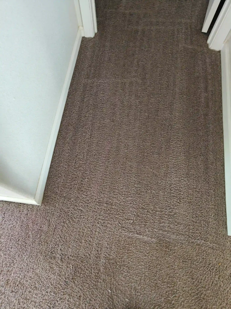 after view of our carpet cleaning service in corona customar was happy and this is a black carpet