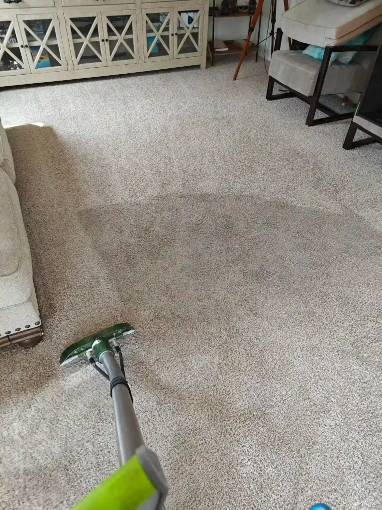 we clean the carpet professionaly by our team