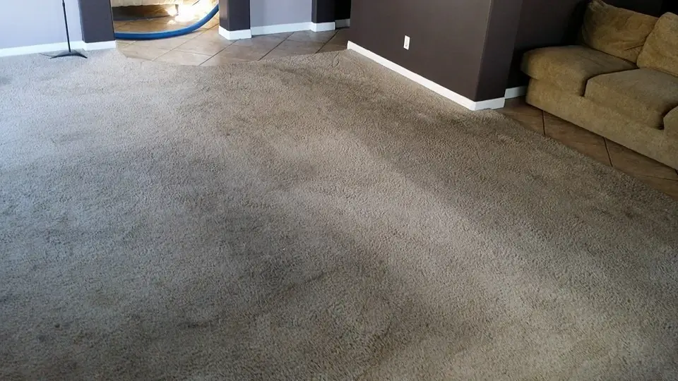 we offer carpet cleaning service in oceanside area