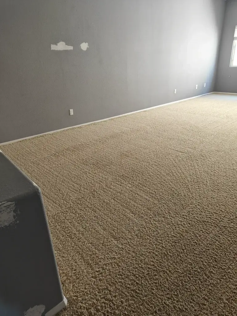 Deep cleaned bedroom carpet in Temecula California home