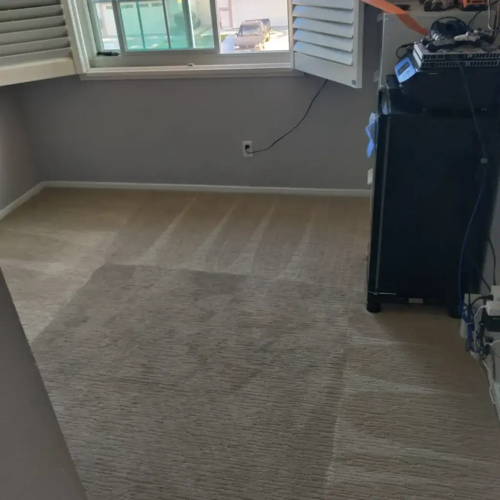 Professional carpet cleaning results in Temecula California home