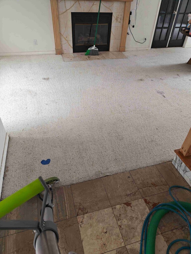 Benefits of professional carpet cleaning in Winchester CA for healthier indoor air