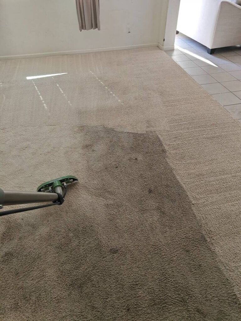 Benefits of professional carpet cleaning in Wildomar CA including allergen removal and odor elimination