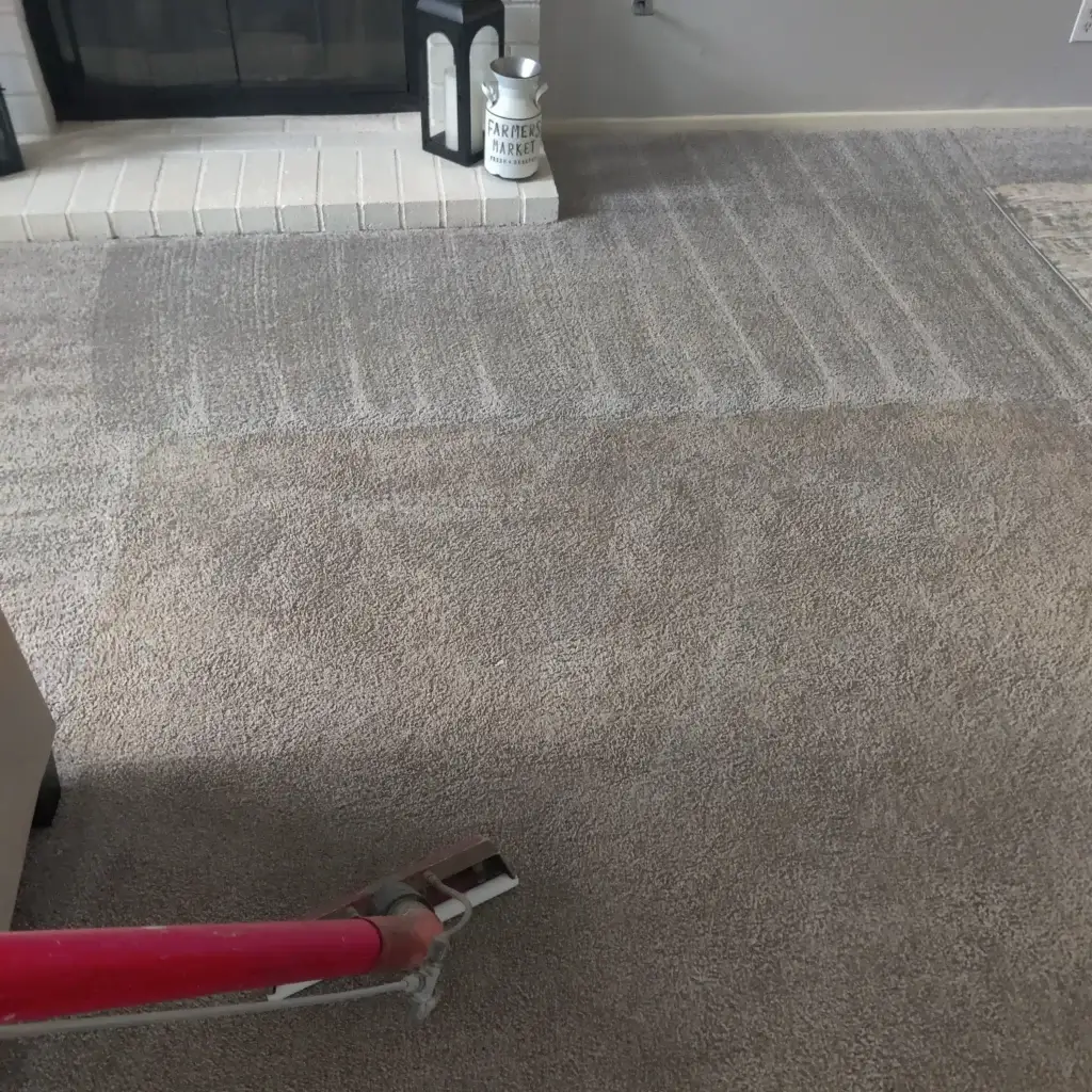 Professional carpet cleaning in Wildomar CA using eco-friendly steam cleaning by The Dirt Army