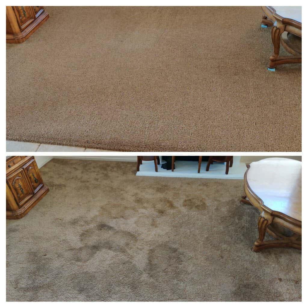 Benefits of professional carpet cleaning in Fallbrook, CA