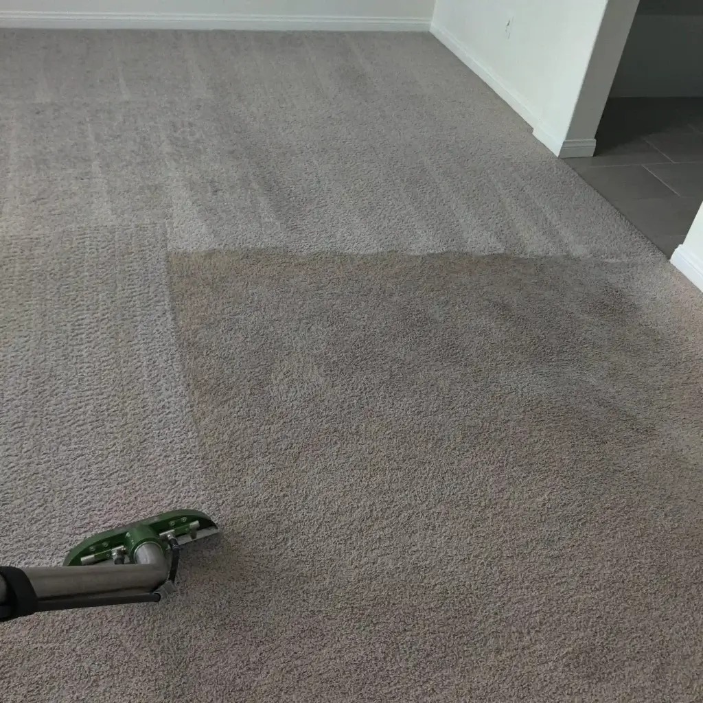 professional carpet cleaning in Moreno Valley CA