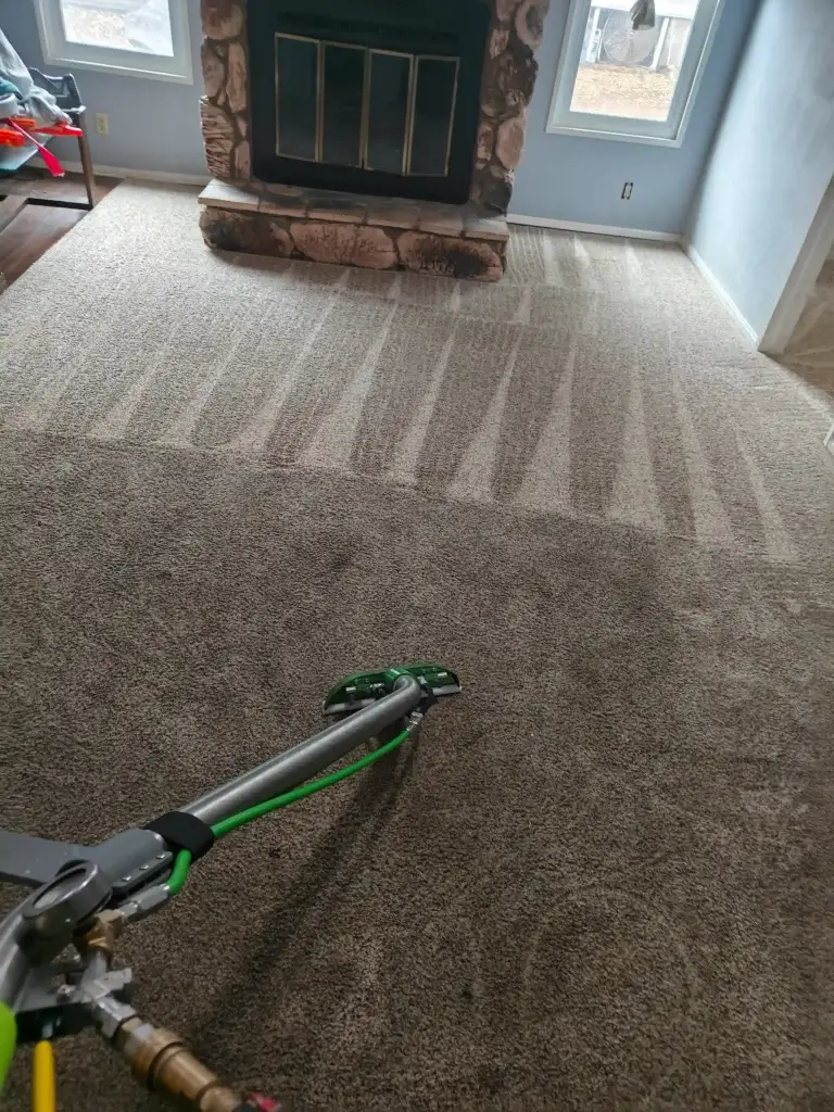 Top-rated carpet cleaning service in Jurupa Valley CA