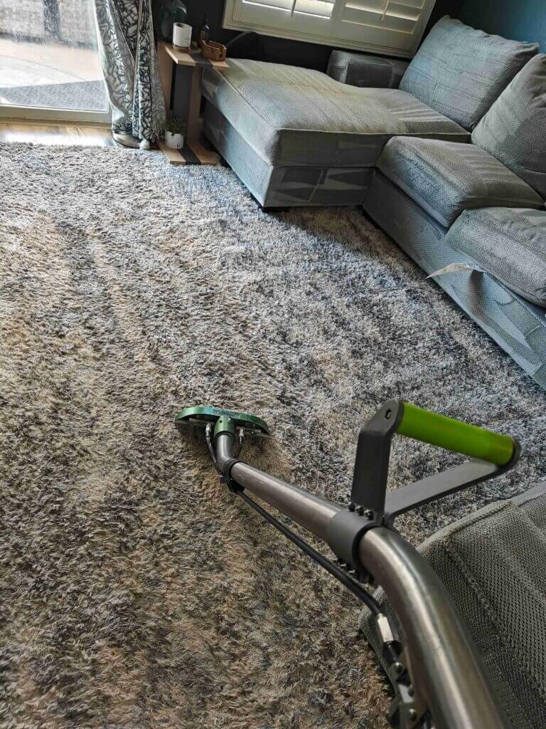 Trusted carpet cleaner in Winchester CA with nearly 20 years of experience
