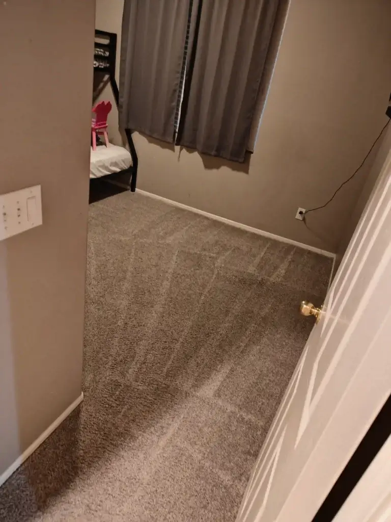 Why choose The Dirt Army for carpet cleaning Lake Elsinore CA