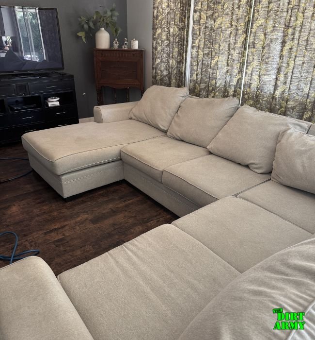 Upholstery Cleaning 9 Professional upholstery cleaner inspecting sofa before cleaning in Murrieta home