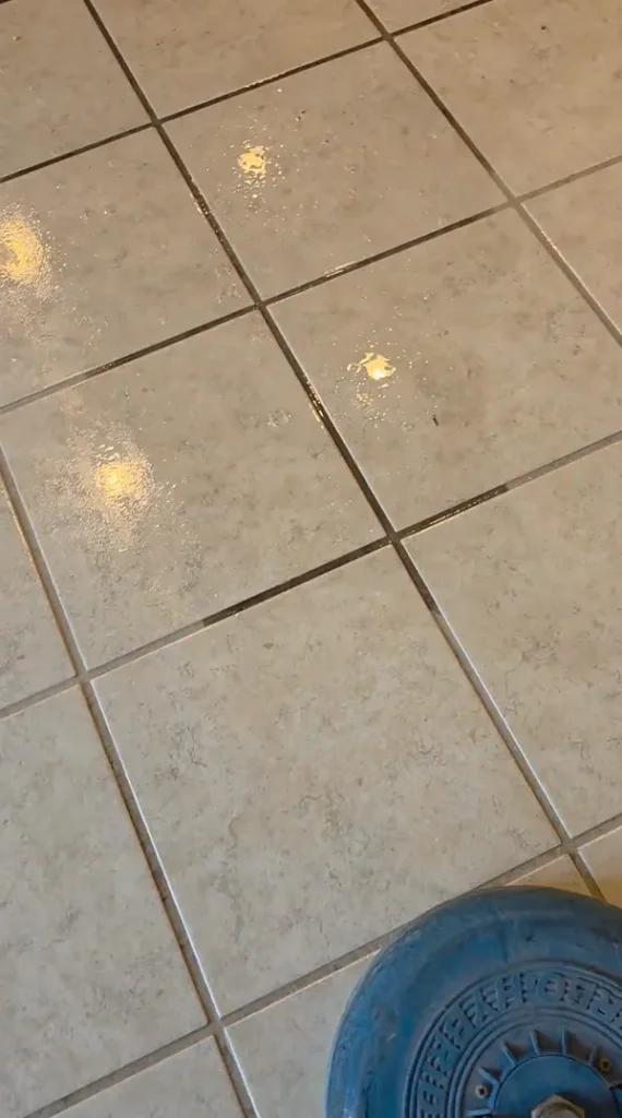 Wet tile floor showing embedded grout stains and cleaning solution residue before extraction