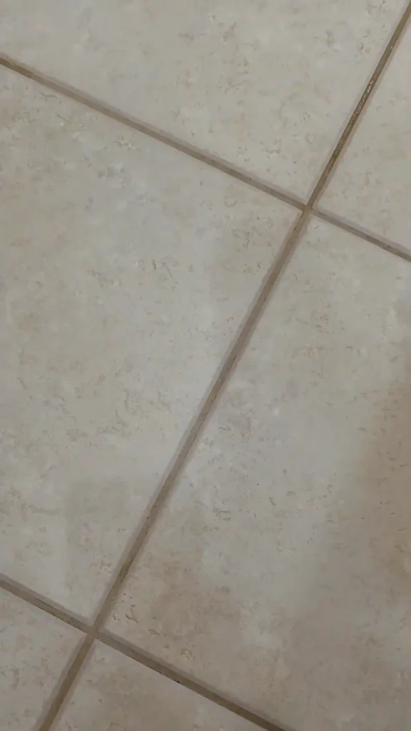 Professional hard surface tool cleaning tile safely next to a plush living room carpet edge