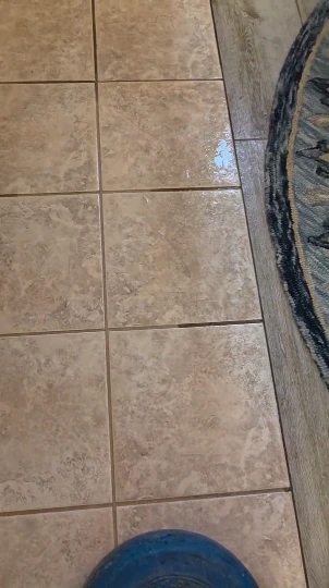 Tile & Grout Cleaning in Fallbrook 8 High-pressure tile cleaning tool working carefully alongside a luxury rug border in a Fallbrook living room