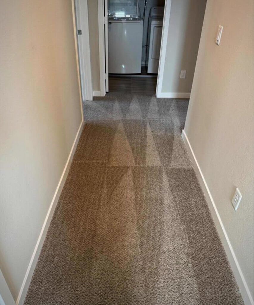 Professional Commercial Carpet Cleaning Oceanside, CA 9 Commercial Carpet Cleaning Oceanside CA 3