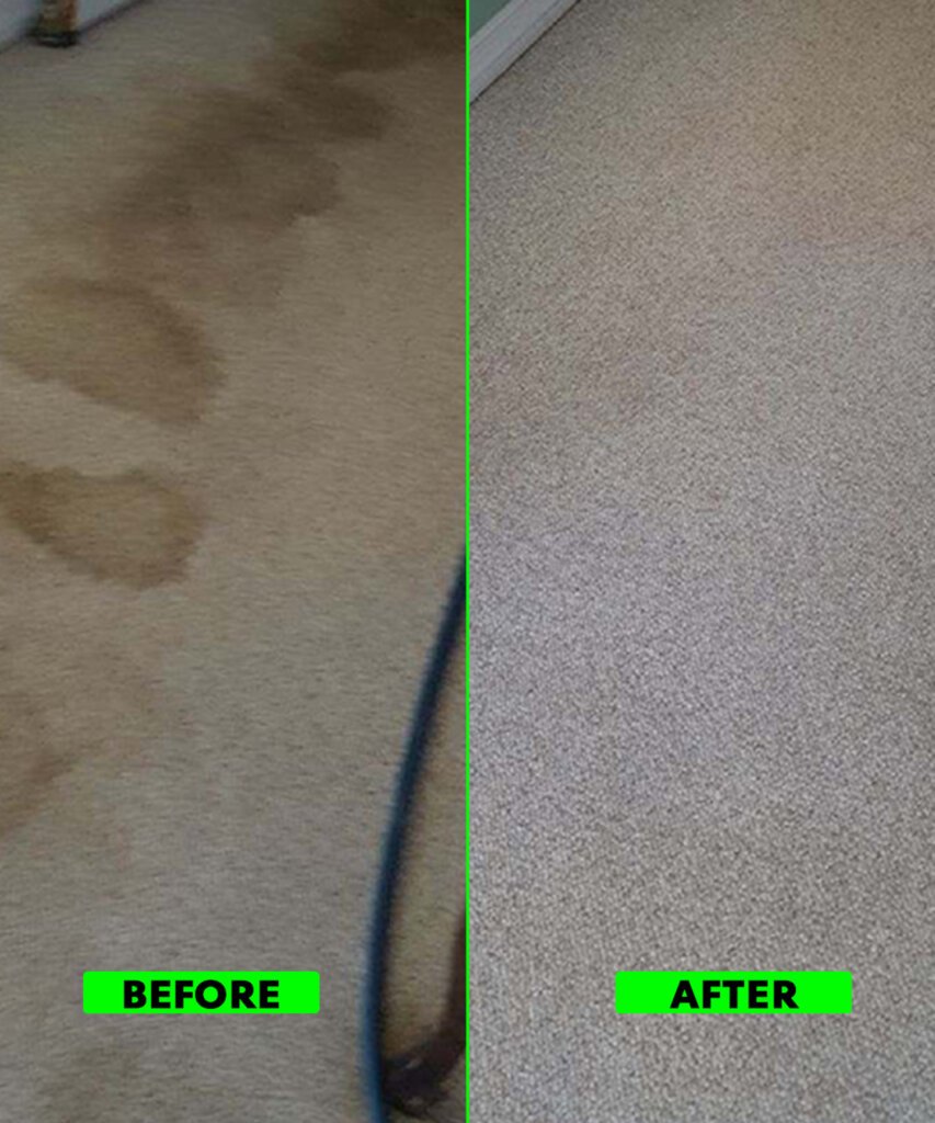Best Commercial Carpet Cleaning in Winchester, CA 7 Commercial Carpet Cleaning Winchester 2