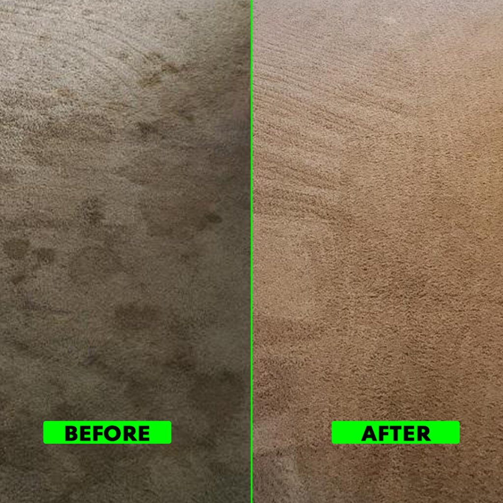 Professional Commercial Carpet Cleaning Oceanside, CA 7 Commercial Carpet Cleaning in Oceanside