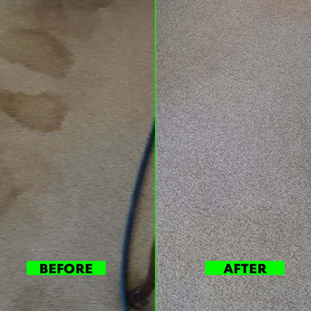 Best Commercial Carpet Cleaning in Winchester, CA 7 Winchester 1