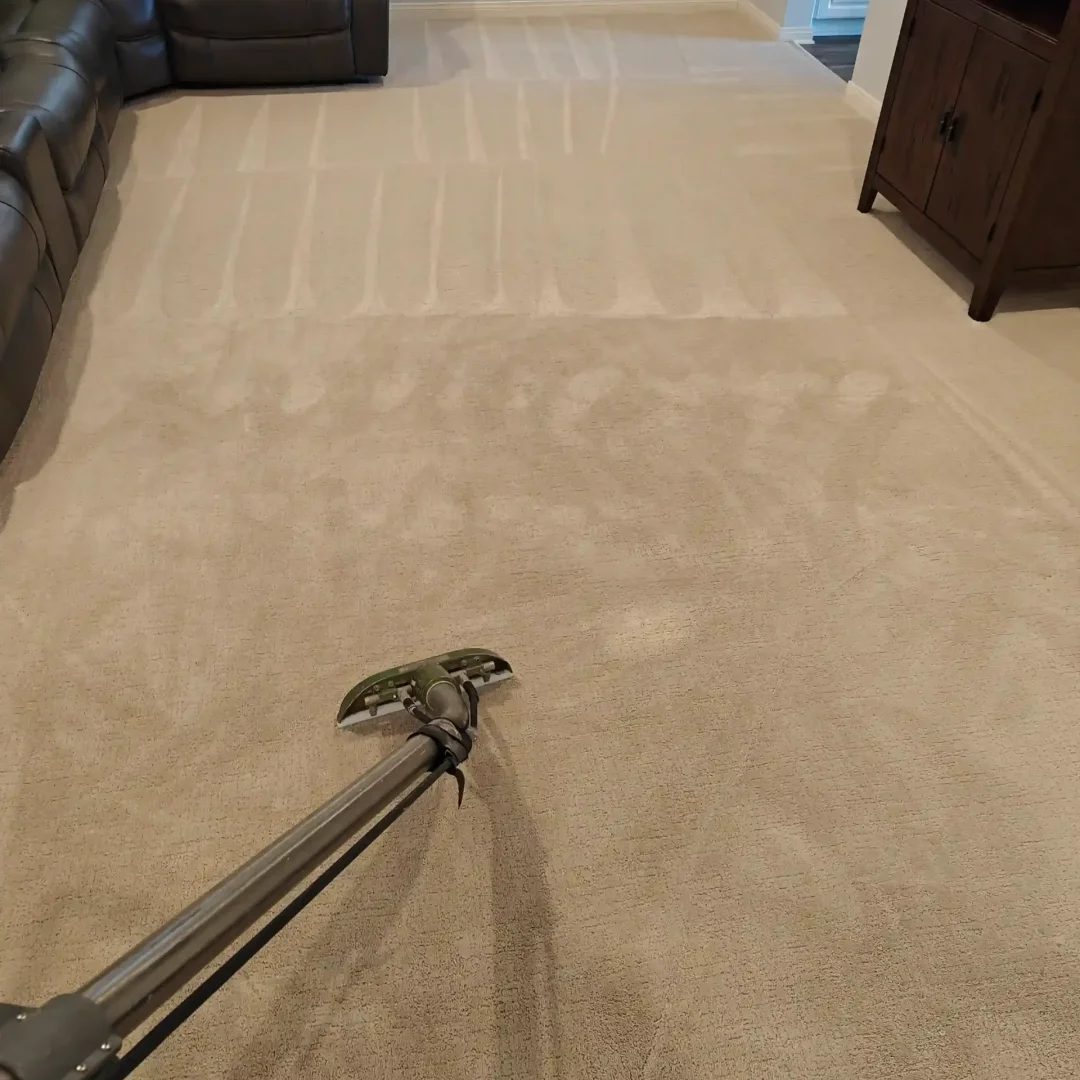 the benefit of our professional carpet cleaning
