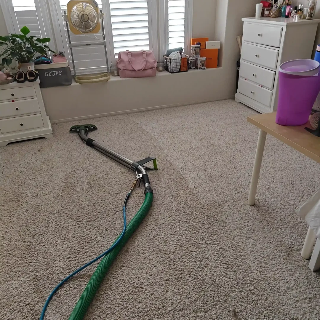 Benefits of professional carpet cleaning Lake Elsinore CA